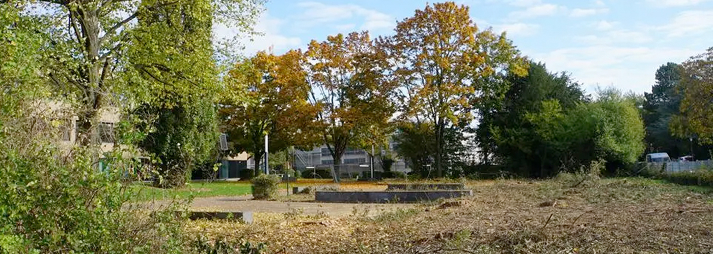 Neues Sportfeld: Bau am Starkenburg-Gymnasium beginnt